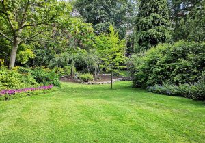 Optimiser l'expérience du jardin à Barneville-Carteret